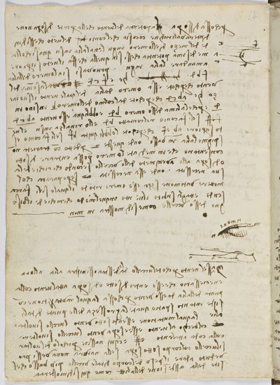 Código sobre el vuelo de los pájaros, c. 1505-06, manuscrito en papel, cc. 18, hoja 9 verso de Leonardo da Vinci